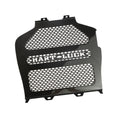 Load image into Gallery viewer, Carbon Fiber Radiator Cover
